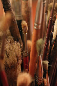 Close-up of paintbrushes