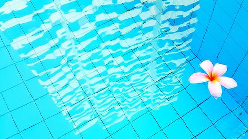 Low angle view of tree against blue sky