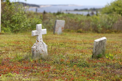 Cemetery on field