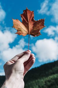 Close-up of person holding maple leaf against sky 