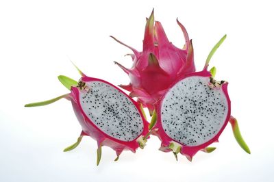 Close-up of fruit against white background