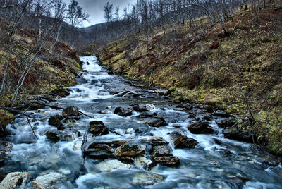 Stream flowing in forest against sky