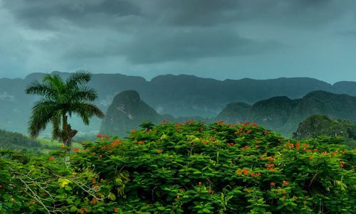Scenic view of mountains against sky