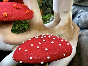 Close-up of red mushrooms