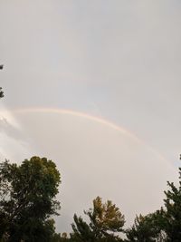 Low angle view of rainbow against sky