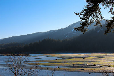 Scenic view of lake against clear sky during winter