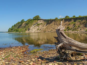 Driftwood on rock by lake against clear blue sky