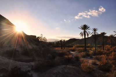 Scenic view of landscape against sky during sunset