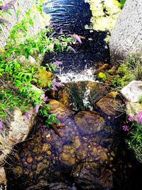 Close-up of multi colored water