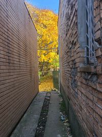 Narrow alley amidst buildings