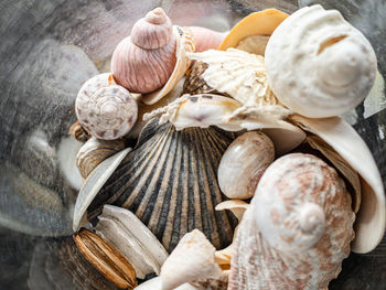 High angle view of a jar of seashells