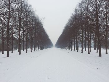 Snow covered field amidst bare trees in park