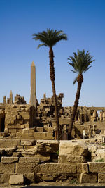 Egypt luxor karnak temple landscape obelisk colum with palm trees foreground and architecture ruins