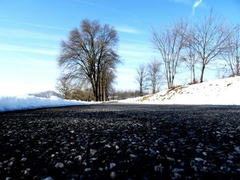 Snow covered landscape