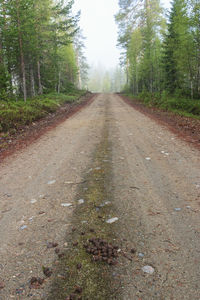 Road amidst trees in forest