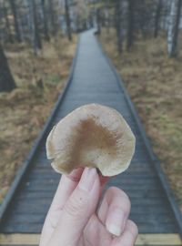 Cropped image of woman holding mushroom on wooden walkway amidst forest