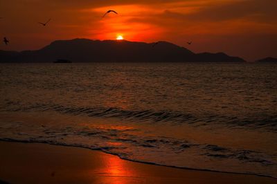 Scenic view of sunset over sea