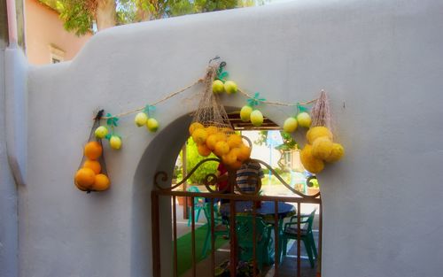 Close-up of fruits on plant against wall