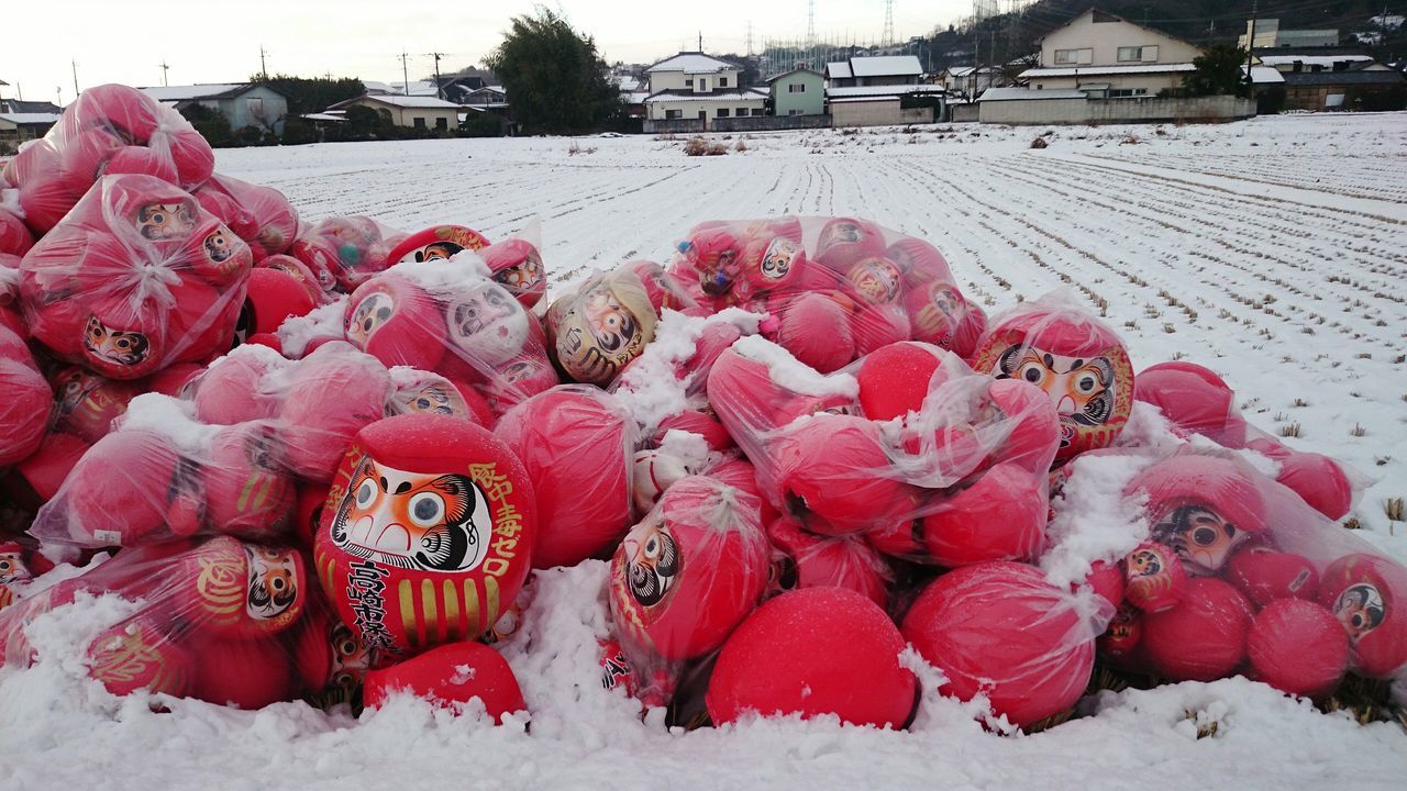 Darumadoll