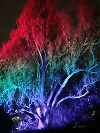 Close-up of multi colored light painting