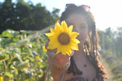 Close-up of yellow flower