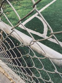 Plants seen through chainlink fence