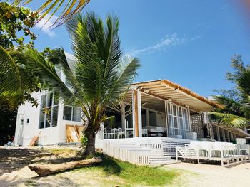 Palm trees by house against blue sky