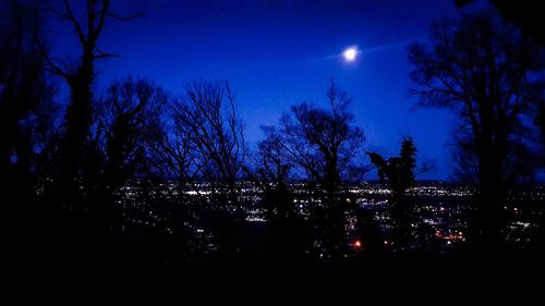 Silhouette trees against sky at night