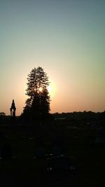 Silhouette of trees at sunset