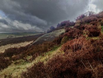 Scenic view of landscape against cloudy sky