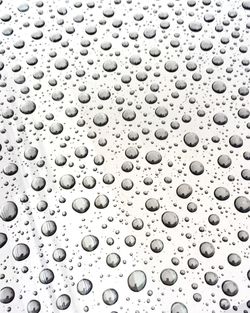 Full frame shot of water drops on glass window