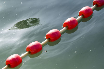 Close-up of red water in container