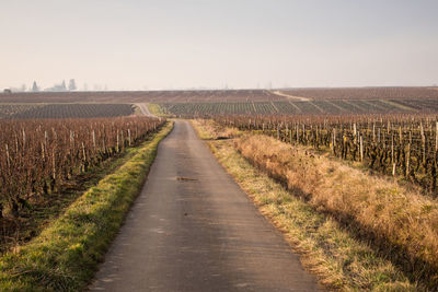 Road amidst agricultural field against sky