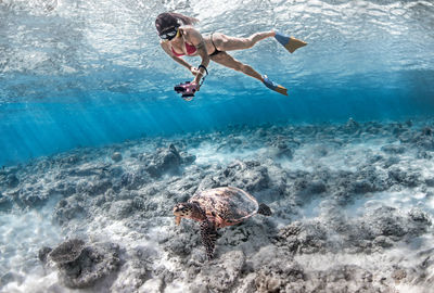 Full length of woman photographing turtle in sea