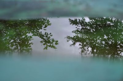 Trees by lake against sky during rainy season