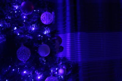 Close-up of illuminated christmas tree at night