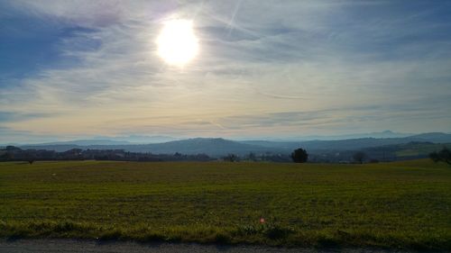 Scenic view of field against sky