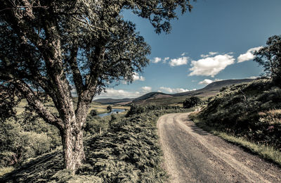 Dirt road amidst trees against sky