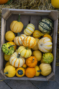 High angle view of pumpkins in crate