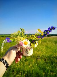 Midsection of person holding flowering plant in field