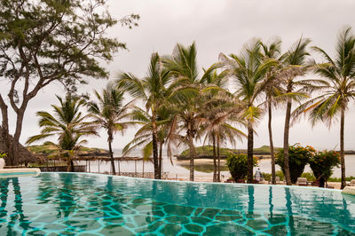 Swimming pool overlooking the indian ocean on watamu beach in kenya