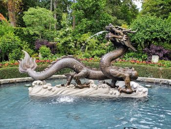 View of lion statue in swimming pool