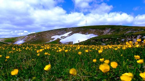 Scenic view of grassy field against cloudy sky