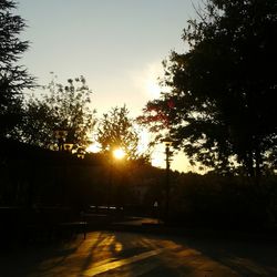 Silhouette trees against sky during sunset