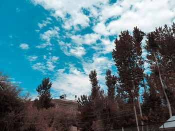 Low angle view of trees on field against sky