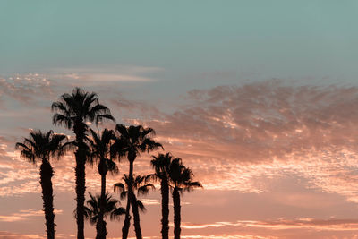 Silhouette palm trees against sky during sunset