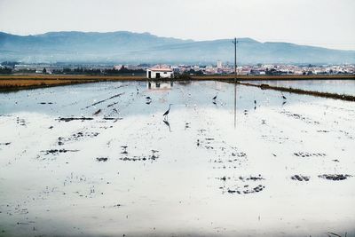 Landscape with mountains in background