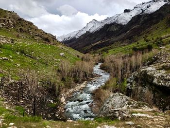 Scenic view of stream amidst plants against sky