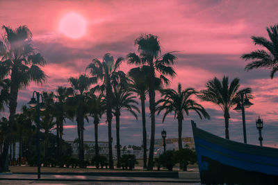 Palm trees against sky during sunset