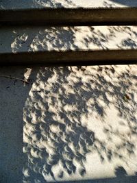 Close-up of shadow on sand